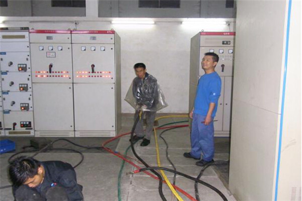 廣東清遠(yuǎn)某生物科技公司租賃發(fā)電機(jī)
